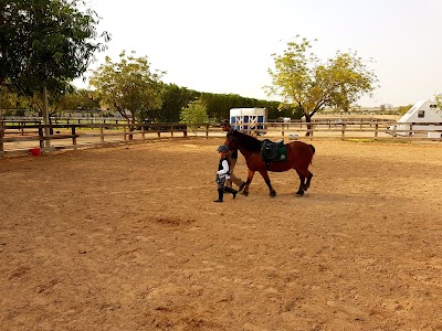 Photos of Desert Palm Polo Club