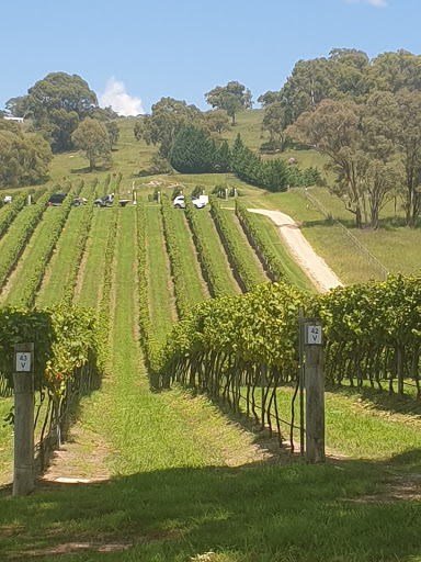 Megalong Creek Estate - Blue Mountains Winery - Megalong Valley. - Thumbnail