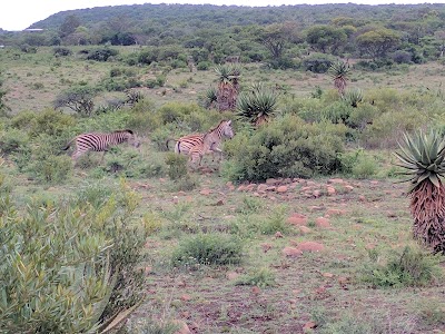Photos of Fugitives Drift Lodge