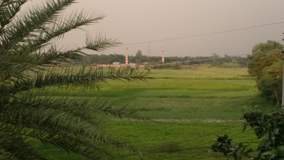 park