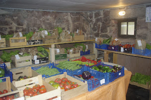 Photo n°11 de Ferme Maraîchère du Windstein à Windstein (Ferme bio)