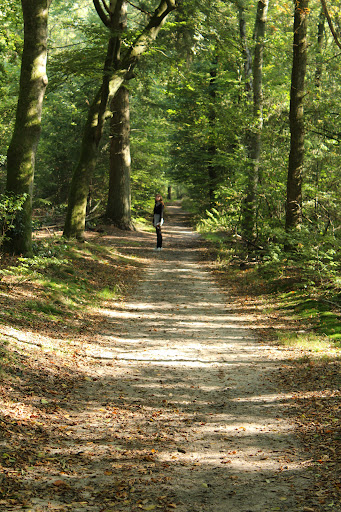 P-Veluwe Oostereng