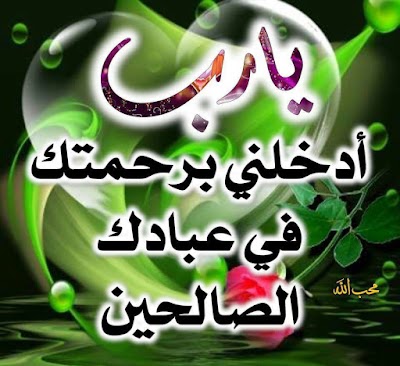 Photos of كازية المهاجرين