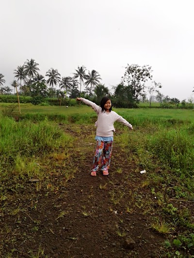Photos of Sap Sukabumi