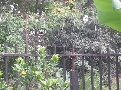Photos of Municipal Jos&eacute; Mar&iacute;a Zeled&oacute;n Park