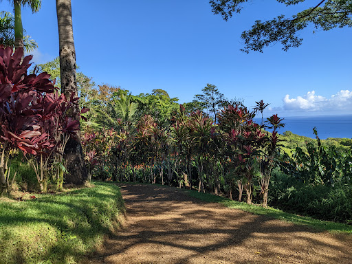 Garden of Eden Arboretum - Thumbnail