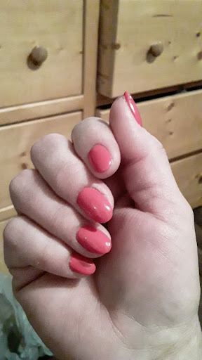 The Polish Shed - Thumbnail