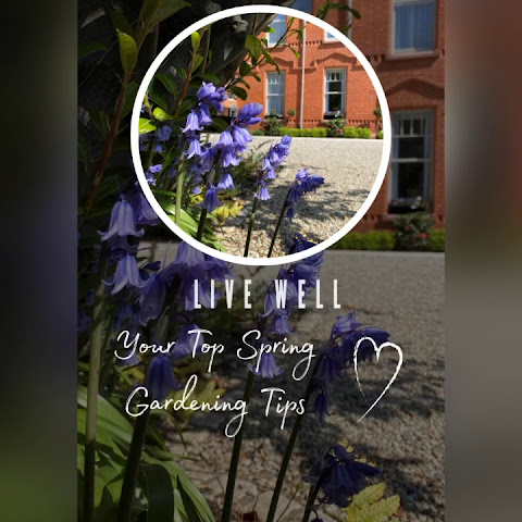 The Wilder Townhouse, an SLH Hotel by null