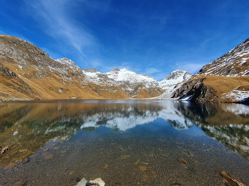 Wilder See