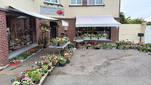 Photo n°1 de Expression de Fleurs à Racquinghem (Livraison de fleurs)