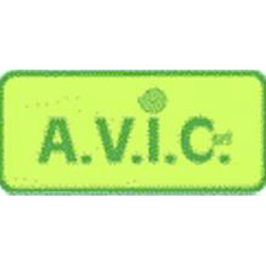 A.V.I.C. - Visual