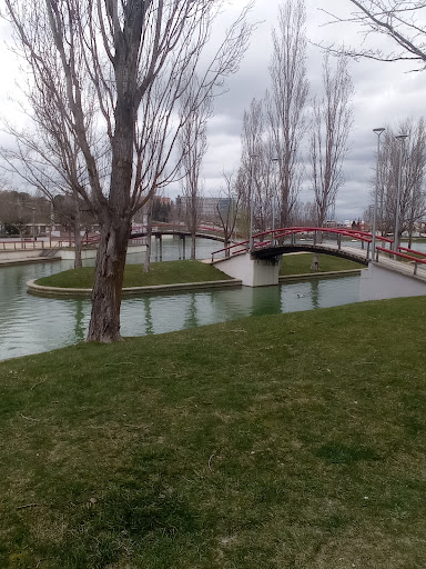 Surtidores del Lago del Parque Central