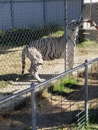 Great Cats World Park