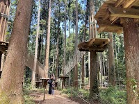 フォレストアドベンチャー・龍ケ崎