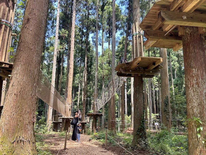 フォレストアドベンチャー・龍ケ崎