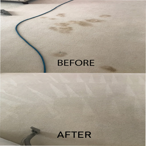 CleanLinePlus LLC - Visual