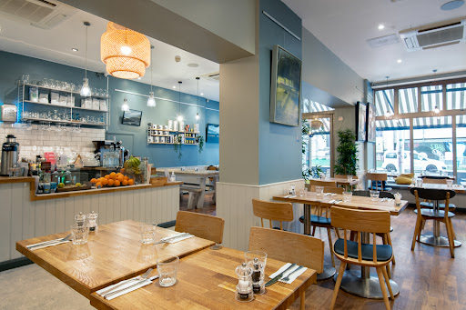 Moksha Caffe - Visual