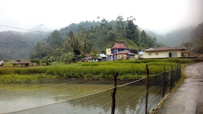 Photos of Mesjid Taqwa Batang Palupuh