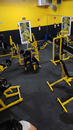 Work fit gym