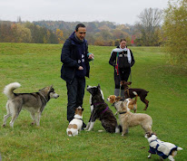 Max Nutrition - Croquettes et services pour animaux Gironde à Blaignac