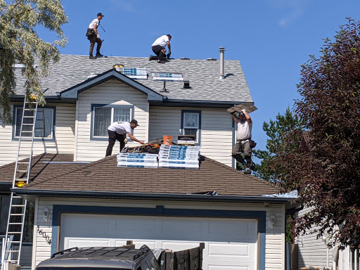 Roofer Don - Visual