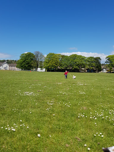 Parc Y Dref - Visual