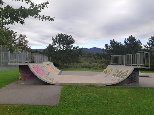 Skatepark Sutton - Visual