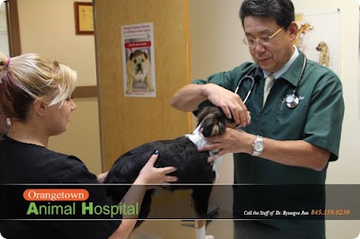 Orangetown Animal Hospital