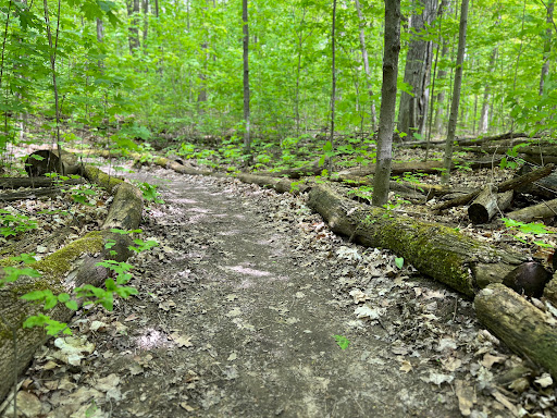 Conservation Access