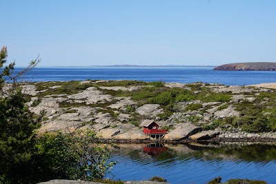 Photos of KIWI Vester&oslash;y
