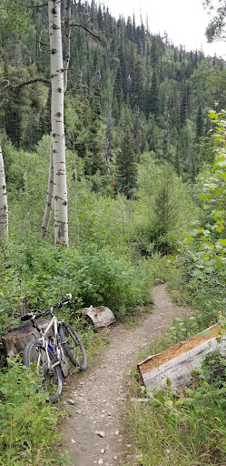 Cedar Creek Trailhead parking