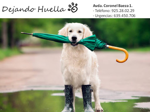 Clínica Veterinaria Dejando Huella