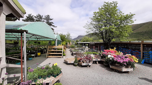 The Tree Shop Garden Centre Gallery - United Kingdom