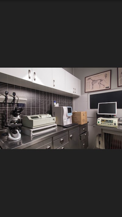 Photos of Dodo Veteriner Kliniği