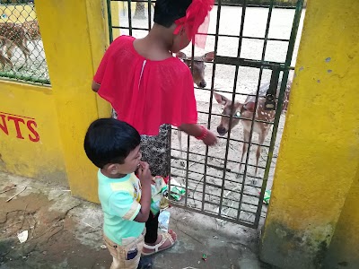 Photos of Bonobilash Public Zoo