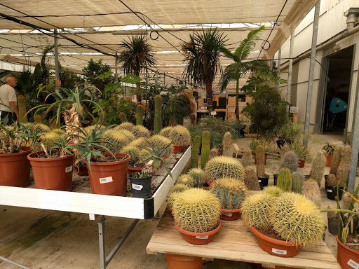 Christian Garden Center S.L. - Thumbnail