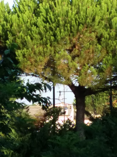 Hotel Garden - Visual
