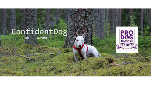 ConfidentDog - Värmland Norra Viken 509, 655 98 Molkom, Sverige