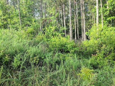 Beaverdam Rifle Range