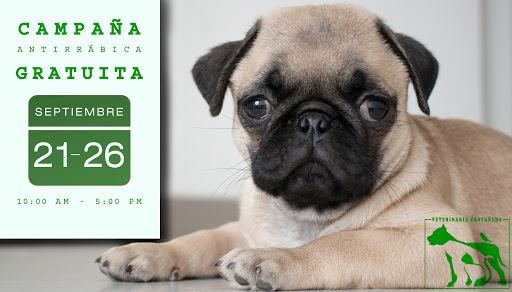 Veterinaria Castañeda