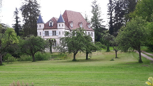 Photo de Château de Werde à Matzenheim (67150)
