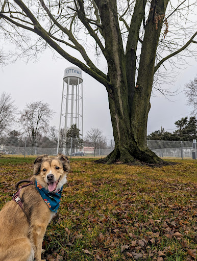 Ali's Dog Park - Thumbnail