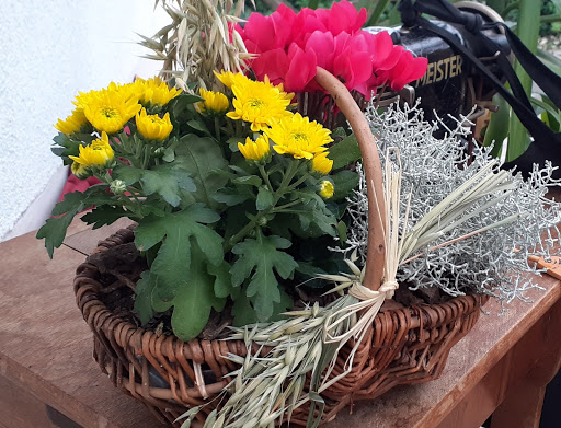 Blumen-Siebrecht - Visual