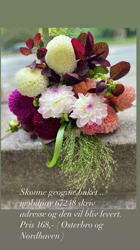 Opinii despre Kongsbro Blomster în Amager Vest - Blomsterbutik