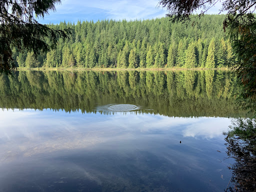 Rolley Lake Trail