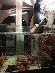 Photo n°77 de La Calypso à Carnac (Restaurant de spécialités à base de poisson-pêcheur)