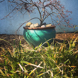 Photo n°8 de Ferrand Services à Moidieu-Détourbe (Jardinier)