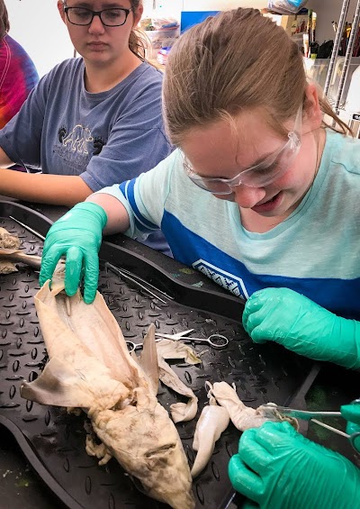 The University of Southern Mississippi Gulf Coast Research Laboratory