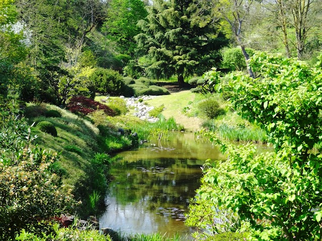 Jardin Zen d'Erik Borja