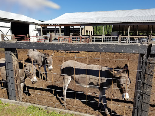 Calder Dairy and Farm - Thumbnail